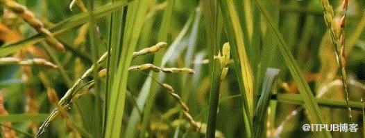 数据治理工具是在交智商税？企业应该学会选择更正确的工具