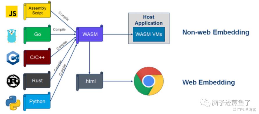 一分钟搞明白！快速掌握 Go WebAssembly
