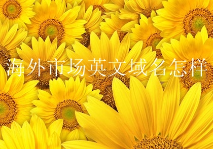 海外市场英文域名怎样？英语域名为何如此火热？