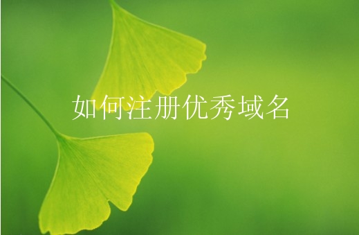 如何注册优秀域名？新手需要怎么做？
