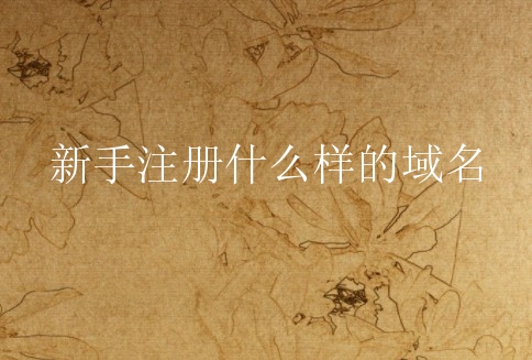 新手注册什么样的域名？什么域名合适？