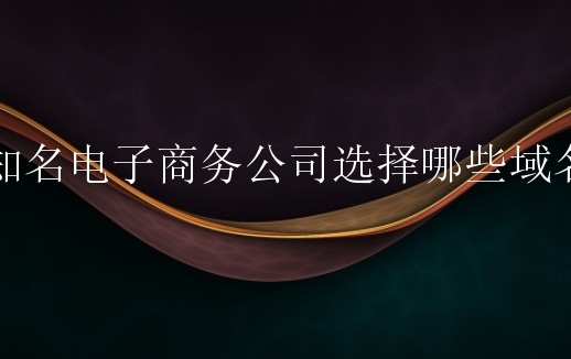 知名电子商务公司选择哪些域名？如何包装自己的网络品牌？