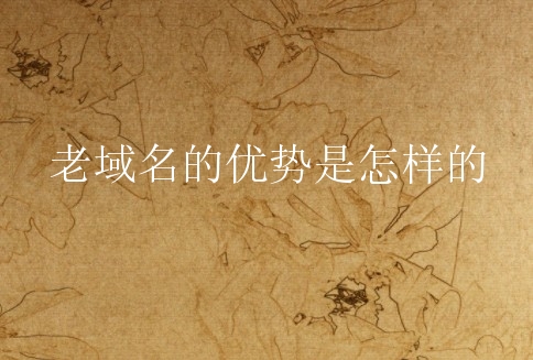 老域名的优势是怎样的？如何进行老域名购买？