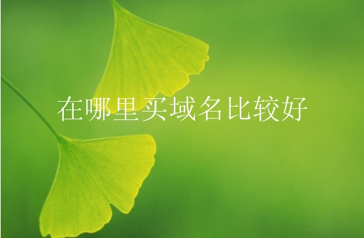 在哪里买域名比较好？怎么买域名？