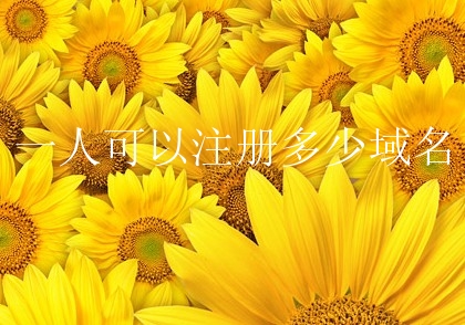 一人可以注册多少域名？注册域名有什么限制？