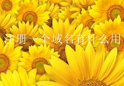 注册一个域名有什么用？如何选择域名？
