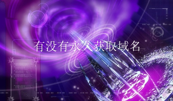 有没有永久获取域名？可不可以获取永久域名？
