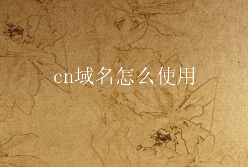 cn域名怎么使用？企业注册为什么选择cn域名？