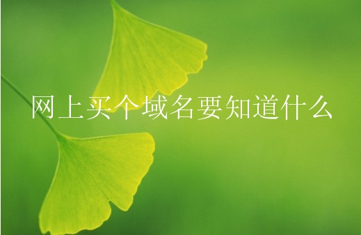 网上买个域名要知道什么？网站域名如何甄选？