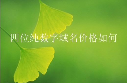 四位纯数字域名价格如何？市场数字域名怎么样？