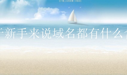 对于新手来说域名都有什么含义？有哪些常见域名含义呢？