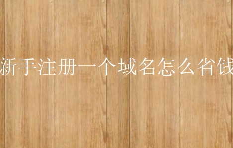 新手注册一个域名怎么省钱？需要怎么做？