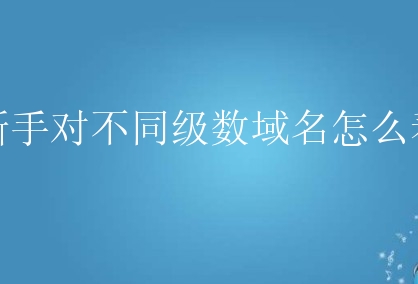 新手对不同级数域名怎么看？有什么好的优化方法？