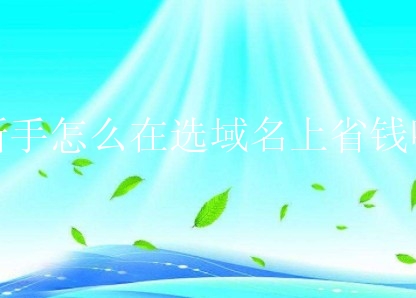 新手怎么在选域名上省钱呢？有什么技巧？