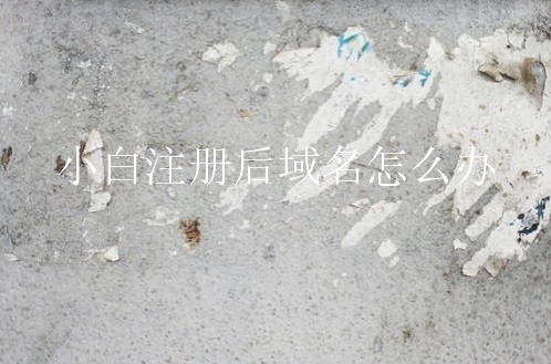 小白注册后域名怎么办？域名会有什么操作？
