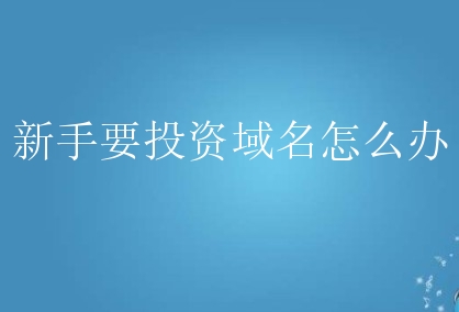 新手要投资域名怎么办？域名圈投资要掌握什么？