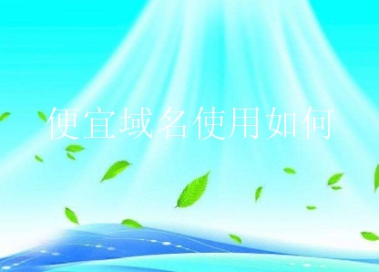 便宜域名使用如何？小白可以买到便宜域名吗？