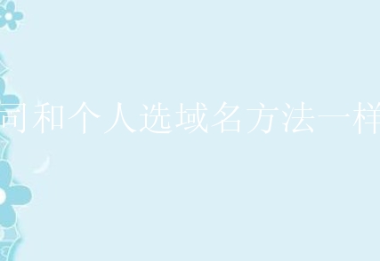 公司和个人选域名方法一样吗？有什么不同？