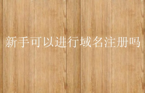 新手可以进行域名注册吗？有什么事项要注意？