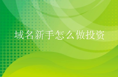 不要花大价钱买域名，新手鉴别能力不足，容易投资失误。
