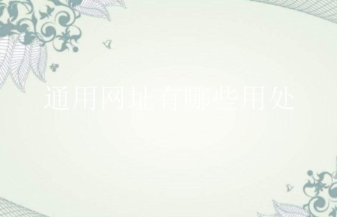 通用网址有哪些用处？新手要了解什么？