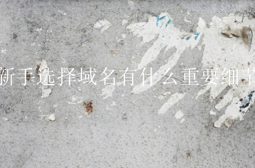 新手选择域名有什么重要细节？要知道什么域名注册的重要性？