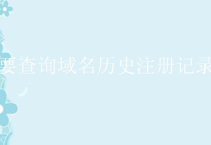 新手想要查询域名历史注册记录怎么办？有什么技巧？