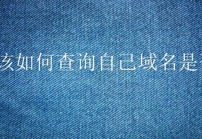 打开https://www.aizhan.com/输入自己想要查询的域名然后按回车键，如果做过网站都会有数据显示出来（