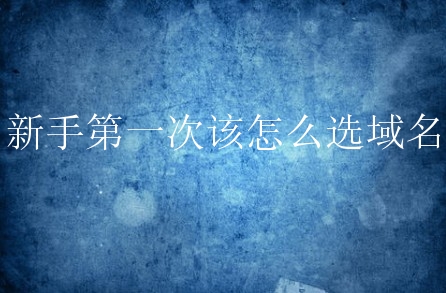 新手第一次该怎么选域名？有什么好的方法吗？