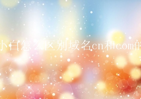 .com域名是国际最广泛流行的通用域名，目前全球注册量第一的域名，公司企业注册域名的首选。国际化公司通常会注册该类域名。