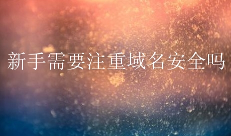 选择一个安全的域名注册商进行域名注册