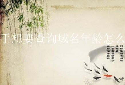 新手想要查询域名年龄怎么做？有什么方法？