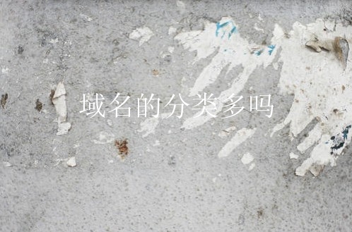 域名的分类多吗？新手要知道域名哪些分类？