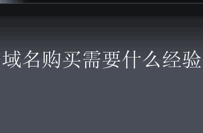 域名购买需要什么经验？小白该怎么做呢？