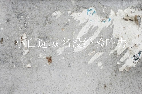 小白选域名没经验咋办？根据什么选择合适域名？