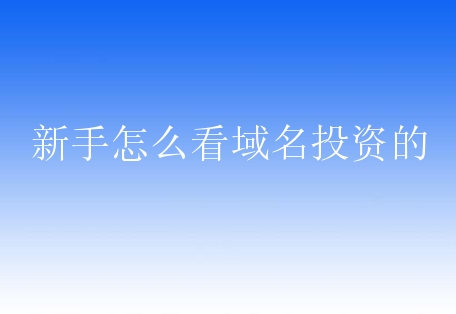 新手怎么看域名投资的？域名投资有什么方法？
