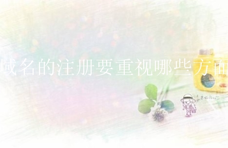 域名的注册要重视哪些方面？新手如何把握细节？
