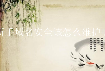 新手域名安全该怎么维护呢？域名安全有哪些方面？