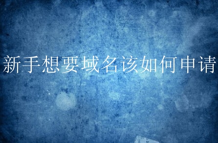 新手想要域名该如何申请？有什么申请方法？