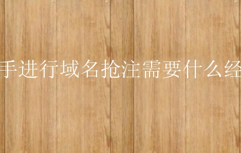 新手进行域名抢注需要什么经验？有什么需要了解的？