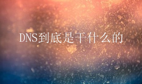 DNS到底是干什么的？DNS和域名有何联系？