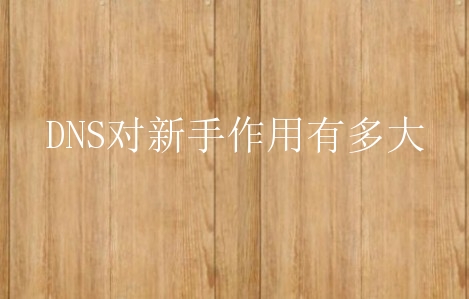 DNS对新手作用有多大？如何DNS查询？