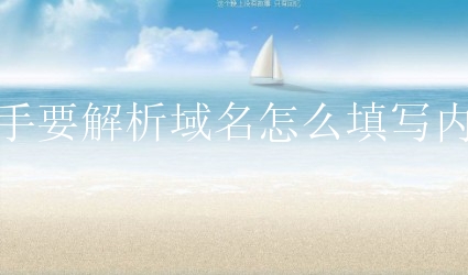新手要解析域名怎么填写内容？具体如何操作？