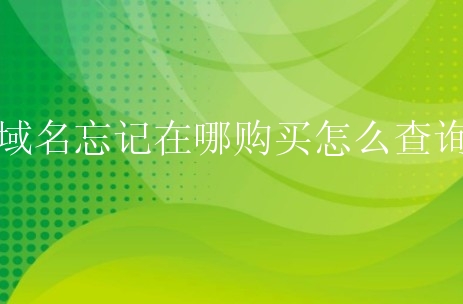 域名忘记在哪购买怎么查询？有什么方法？
