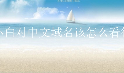 小白对中文域名该怎么看待？中文域名有什么好处？