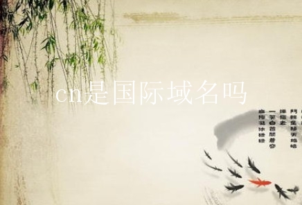 cn是国际域名吗？cn域名有什么卖点？