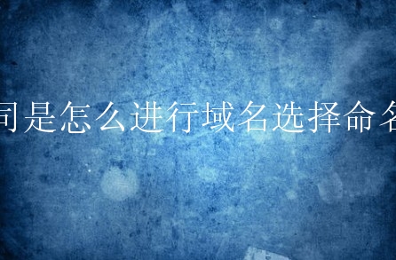 公司是怎么进行域名选择命名的？有什么原则技巧？