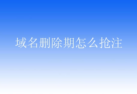 域名删除期怎么抢注？