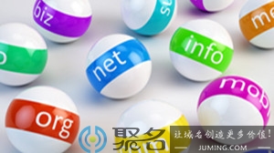 什么是声母域名和韵母域名？