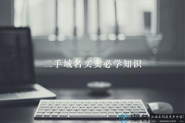 二手域名买卖必学小知识